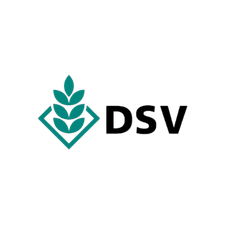 Dsv